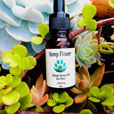 Hemp Oil For Pets – 15ml