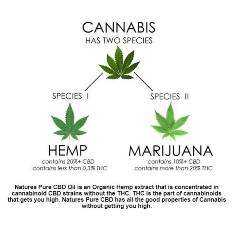 Why is Hemp so different to Marijuana
