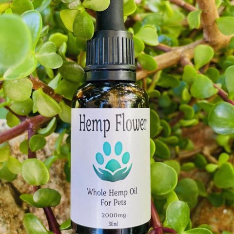 Hemp Oil For Pets – 30ml